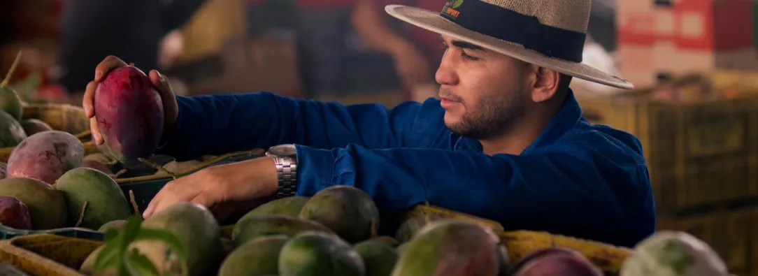 Inflación en Colombia continúa a la baja y se ubica en 5,09% en marzo, según el Dane