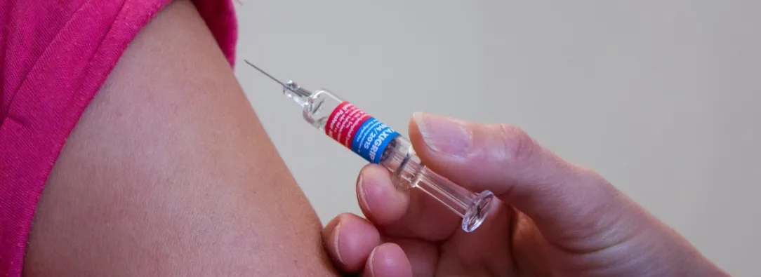 Fiebre amarilla en el Tolima. / Foto: Pixabay.