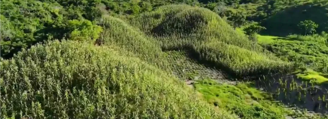Tierras en Cimitarra entregadas a Campesinos