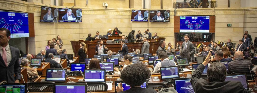 Tras la decisión sobre la apelación, el Senado deberá votar la convocatoria a la Consulta Popular. /