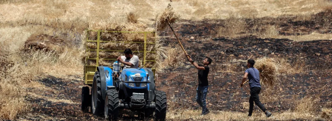 Granjeros palestinos cerca de al región de Khirbet Abu Falah, Cisjordania, donde hasta ahora no había presencia colonial. 