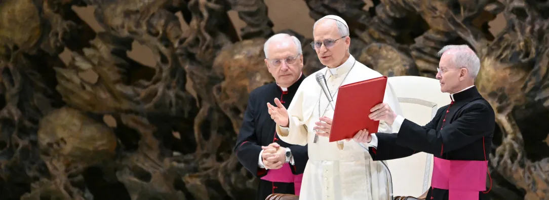 "Reitero la solidaridad de la Iglesia con los periodistas encarcelados por buscar la verdad": Papa León XIV