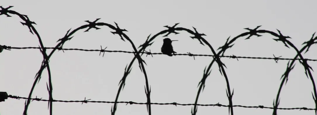 Colombianos detenidos en Venezuela. / Foto: Pixabay.