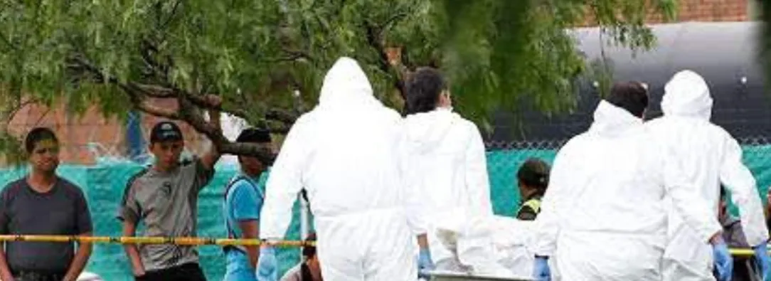 Denuncia de cuerpo desmembrado en Kennedy. / Foto: Concejo.