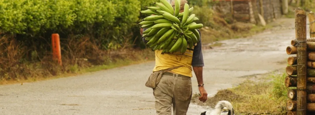 Crecimiento del PIB en Colombia en comparación al primer trimestre del 2024. / Foto: Pixabay.