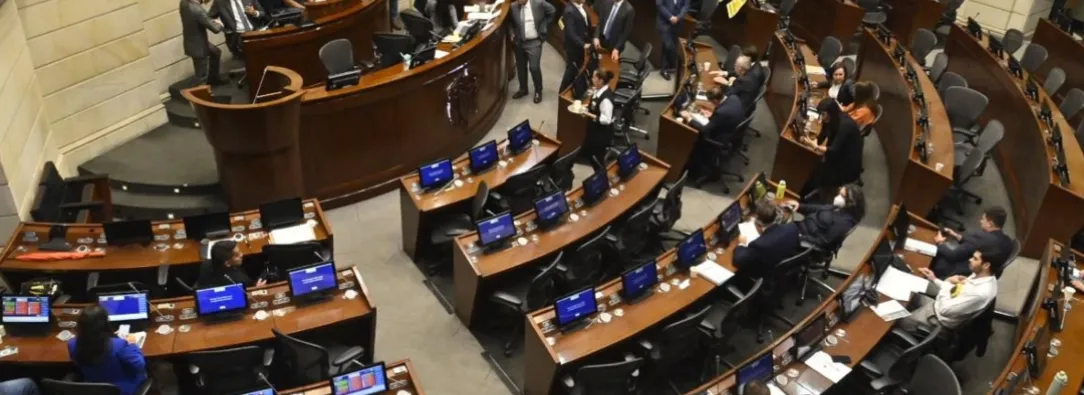 Debate de la consulta popular. / Foto: Senado.