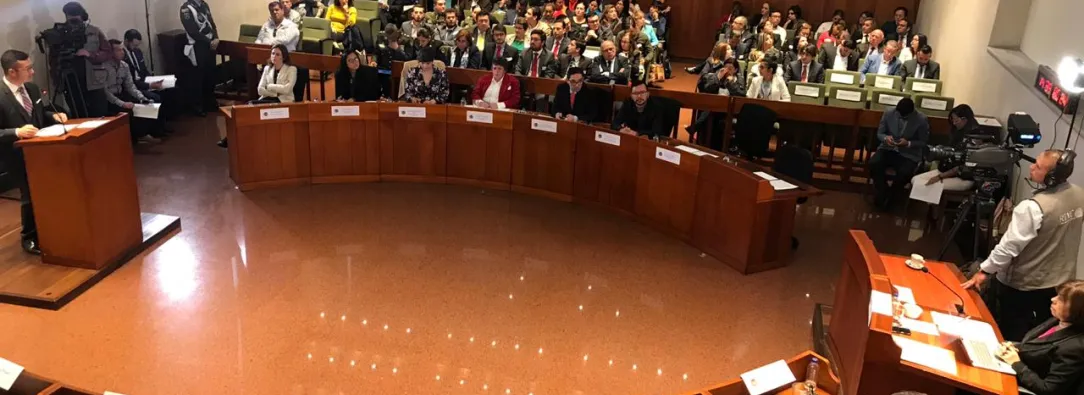 Corte Constitucional