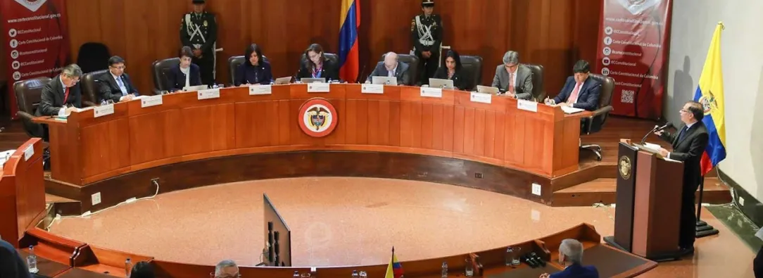 Corte Constitucional