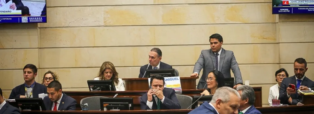 Debate en el Senado por la reforma laboral. / Foto: Senado.