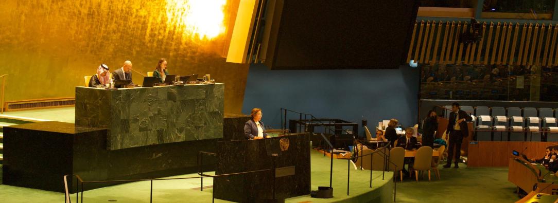 Colombia denuncia genocidio y hambruna en Gaza ante la ONU