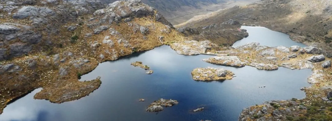 Páramo de Santurbán. / Foto: Universidad Nacional.