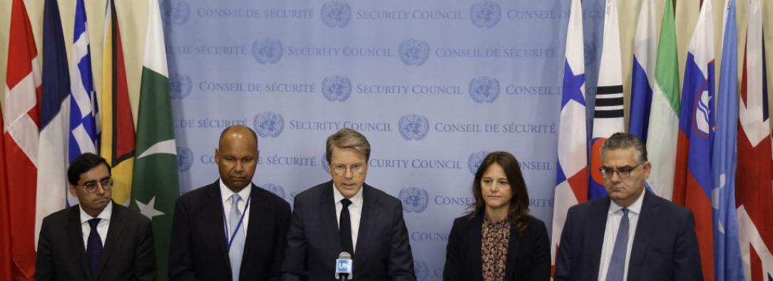 Declaración pública ONU.