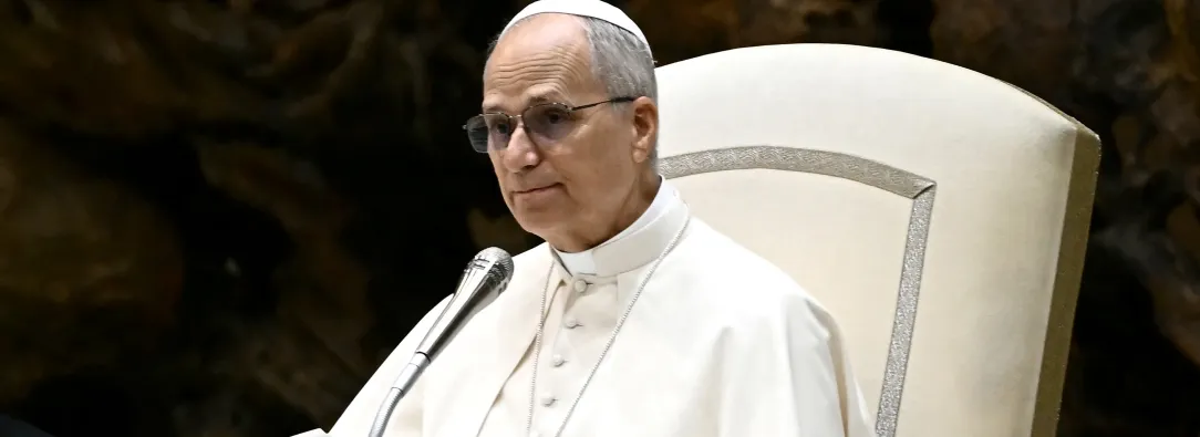 El papa León XIV pronuncia su discurso durante la audiencia general en la Sala Pablo VI del Vaticano.