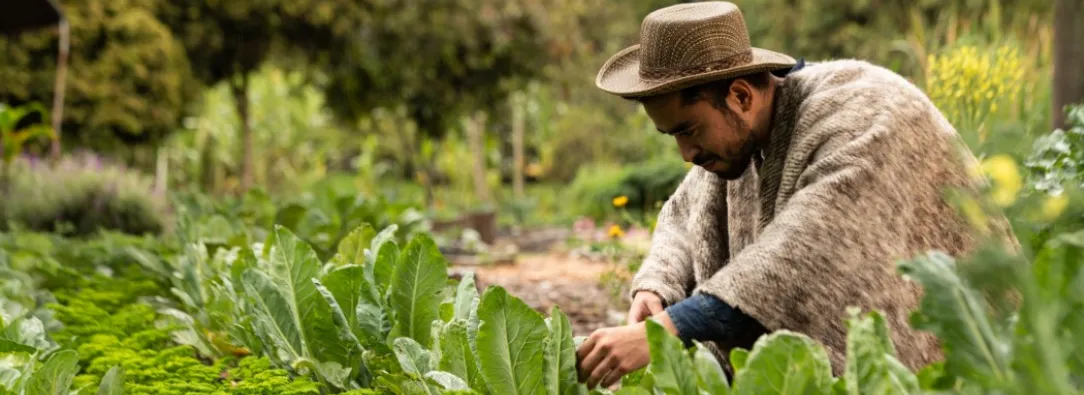 Colombia impulsa su transformación económica con reforma agraria histórica