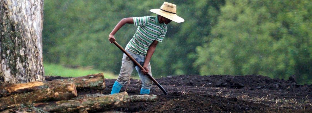Desempleo en Colombia baja a 8,8% en julio de 2025