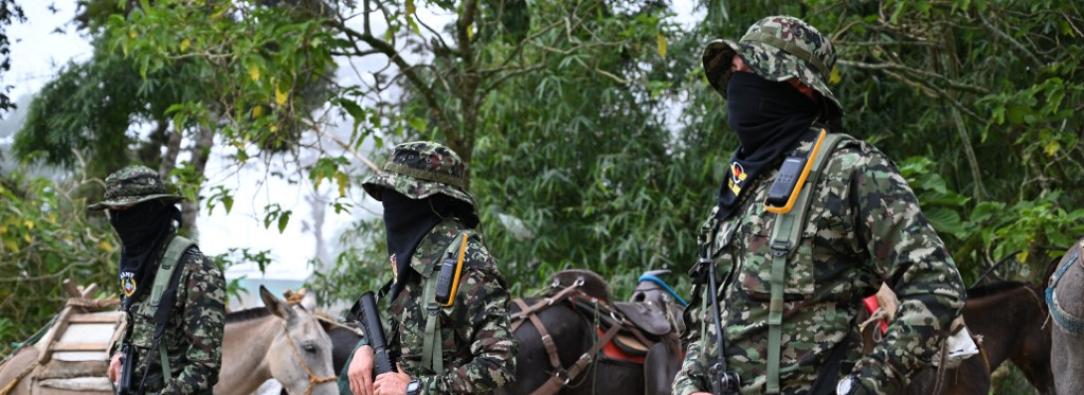 Autodefensas.