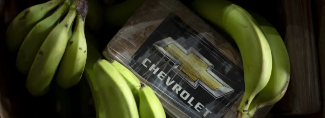 Droga escondida en cargamento de banano.
