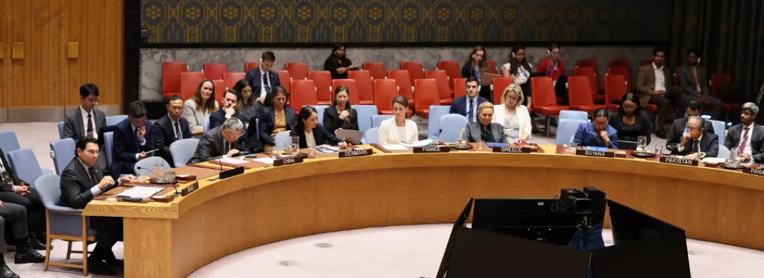 Consejo de Seguridad de la ONU.