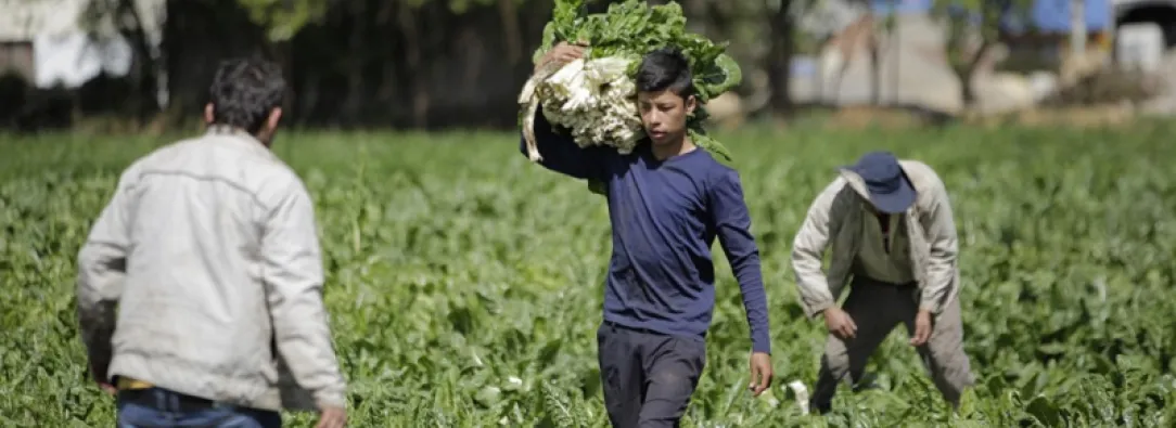 Colombia registra la tasa de desempleo más baja en 24 años para el mes de agosto