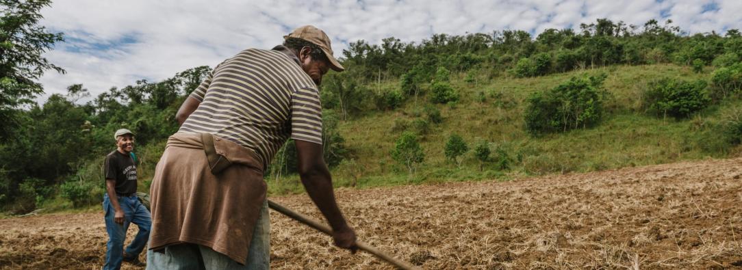 Agro colombiano genera 4,8 millones de empleos