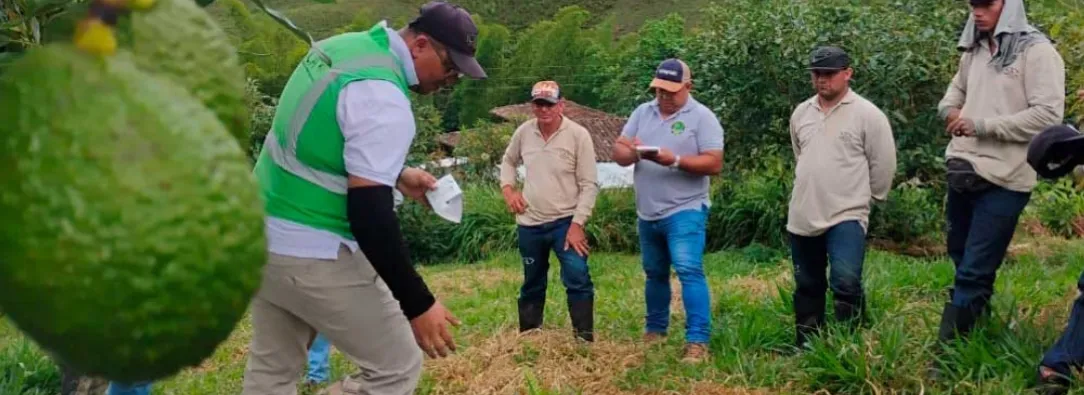 Colombia en más mercados internacionales. / Foto: ICA.