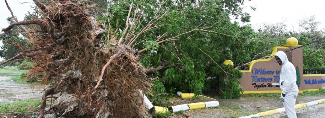 Embajadora de Colombia en Jamaica solicita asistencia internacional tras devastador paso del huracán Melissa