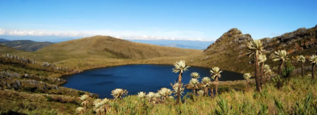Laguna y frailejones en el Parque Nacional Natural Chingaza