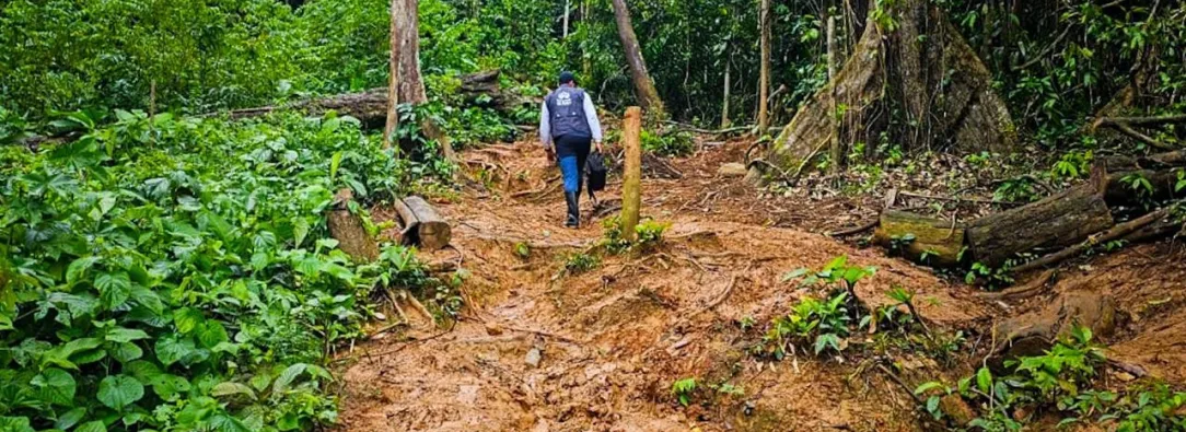 Petro ordena despliegue militar en el Darién 