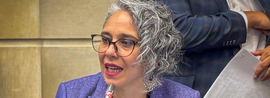 María José Pizarro.