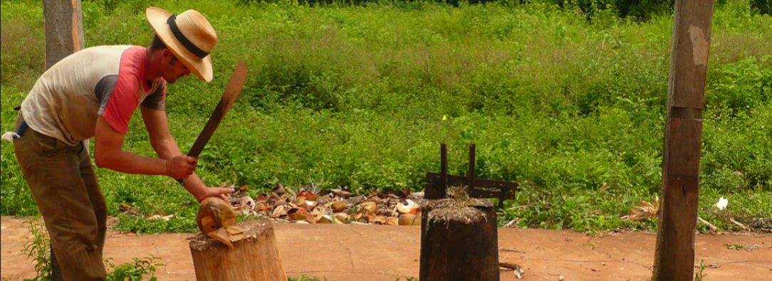 campesino cortando leña