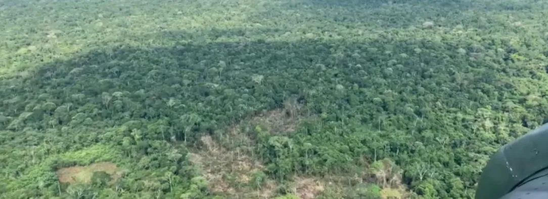 La ofensiva, autorizada por el presidente Petro, busca debilitar el poder militar y narcotraficante de las disidencias comandadas por alias Mordisco en el sur del país. 