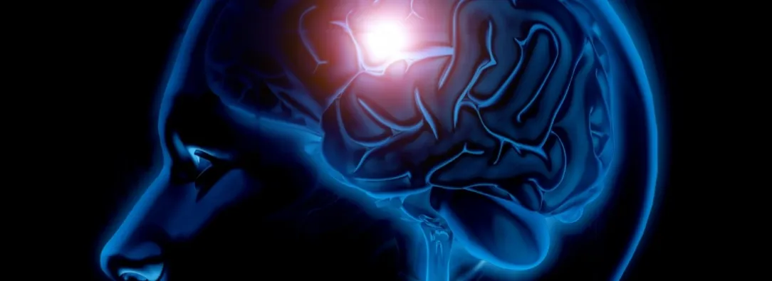 Cerebro. / Foto: Freepik.