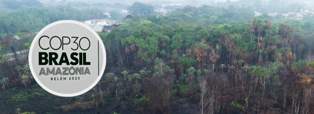 COP30 en Brasil. / Fotos: AFP.