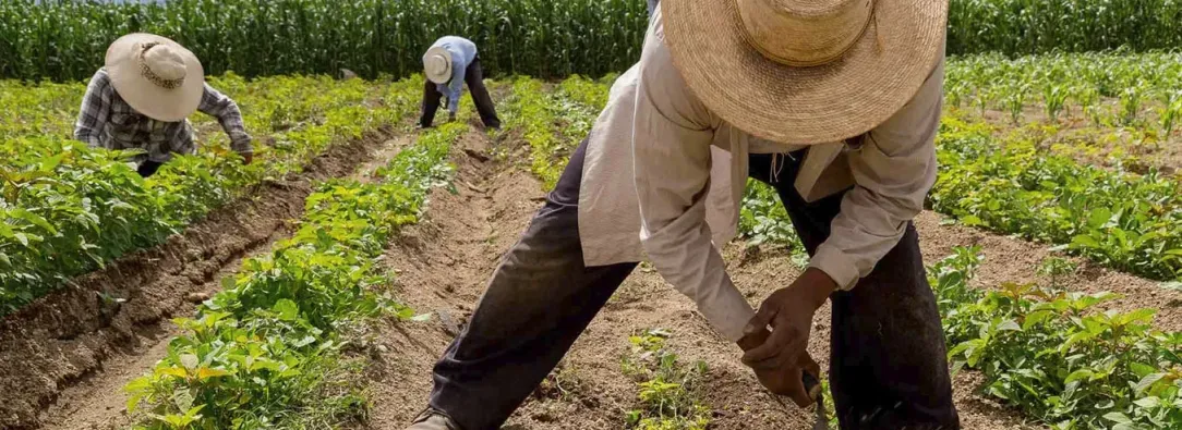 Jurisdicción Agraria sigue estancada en el Congreso