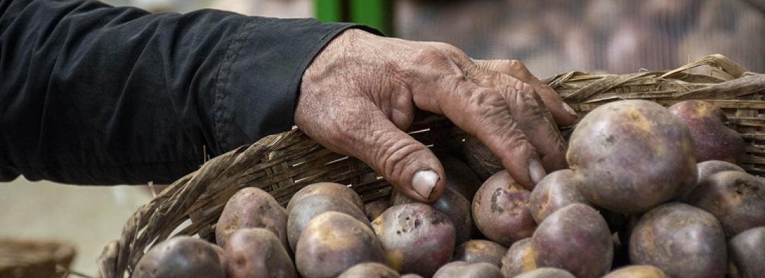 Inflación de noviembre desciende a 5,30% impulsada por caída en precios de alimentos