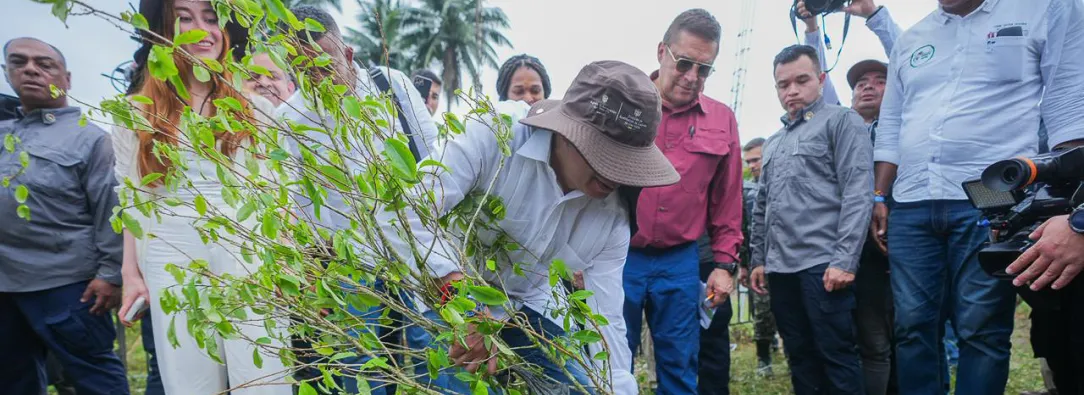 Sustitución de cultivos ilícitos alcanza 26 mil hectáreas en Colombia