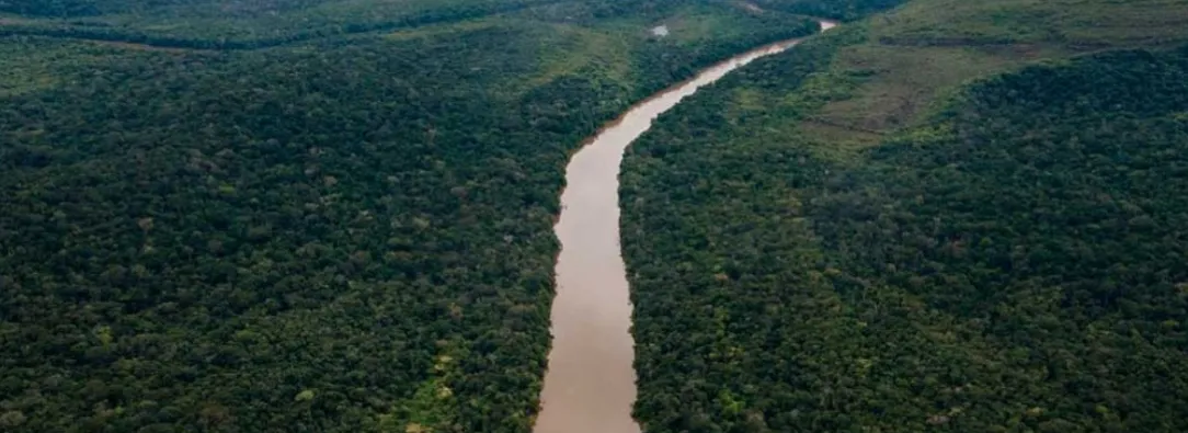Deforestación en el Amazonas. / Foto: MinAmbiente.