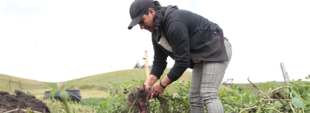 Actividades de agricultura en el ISE 2025. / Foto: X MinAgricultura.