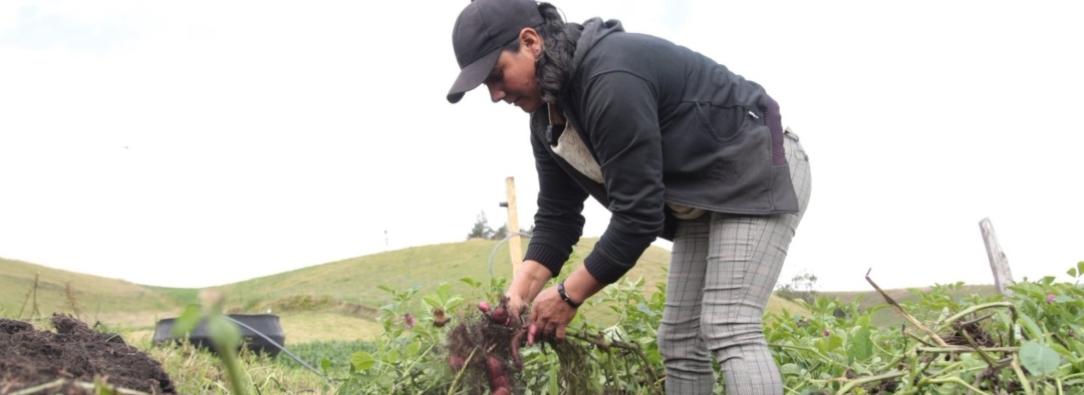 Actividades de agricultura en el ISE 2025. / Foto: X MinAgricultura.