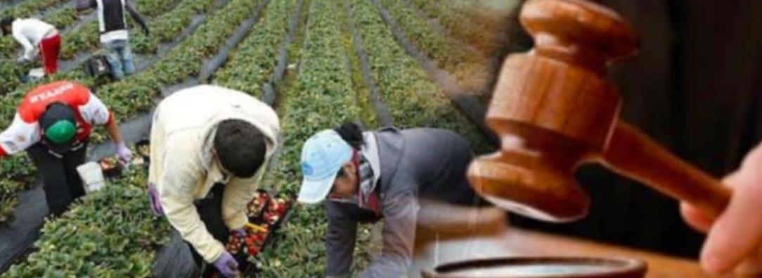 Jurisdicción agraria. / Foto: Senado.