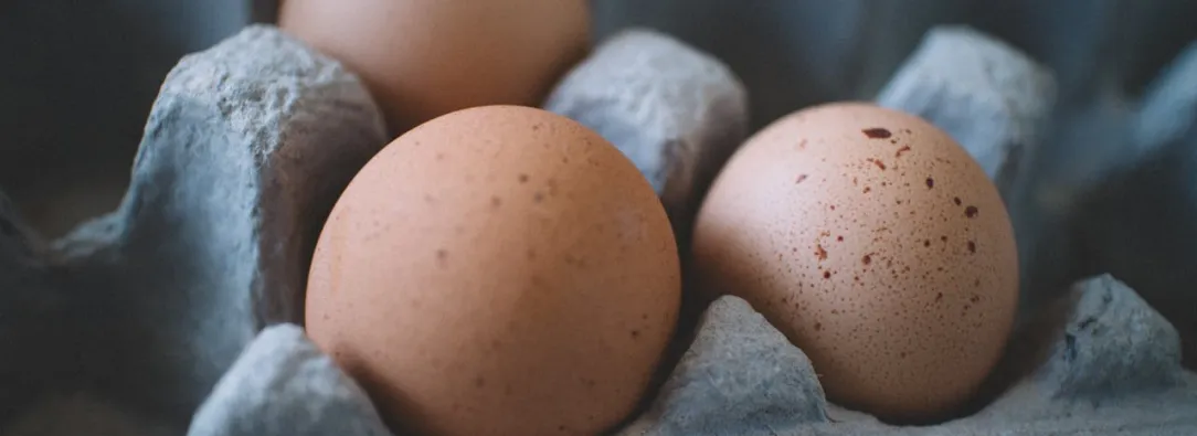 Colombia abre mercado estadounidense para exportación de huevos