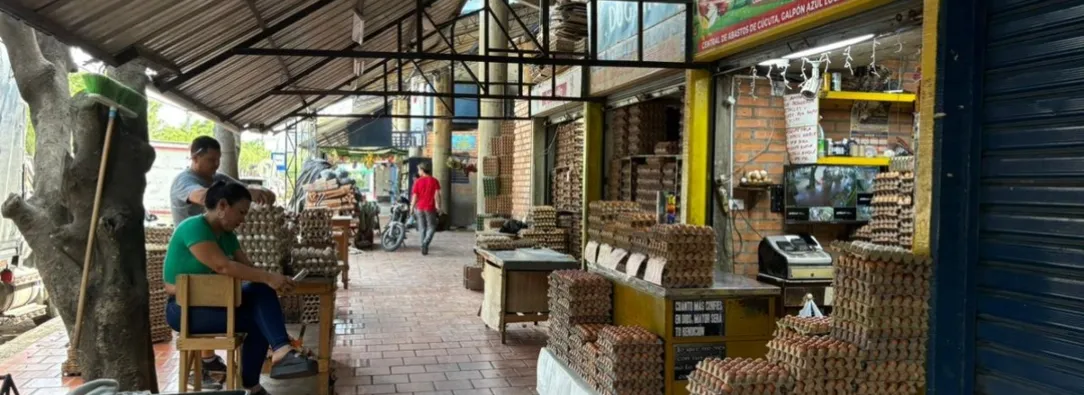 Predios de Cenabastos a Prosperidad Social. / Foto: Prosperidad Social.