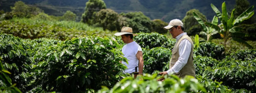 Tasa de desempleo baja en Colombia. / Foto: MinAgricultura.