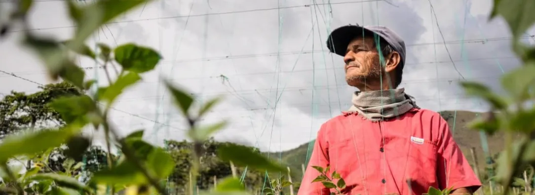 Empleo en Colombia. / Foto: Radio Nacional de Colombia.