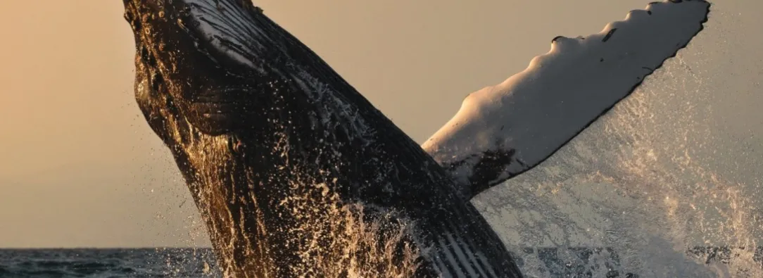 Turismo en Colombia. / Foto: Colombia Travel.