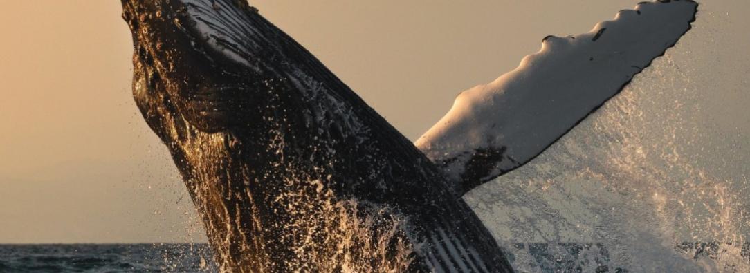 Turismo en Colombia. / Foto: Colombia Travel.