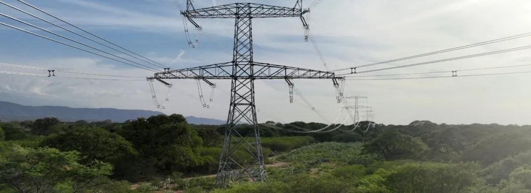 Colombia suspende exportaciones de electricidad a Ecuador