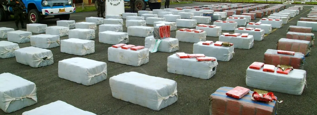 Incautan más de una tonelada de marihuana que iba rumbo a Ecuador.