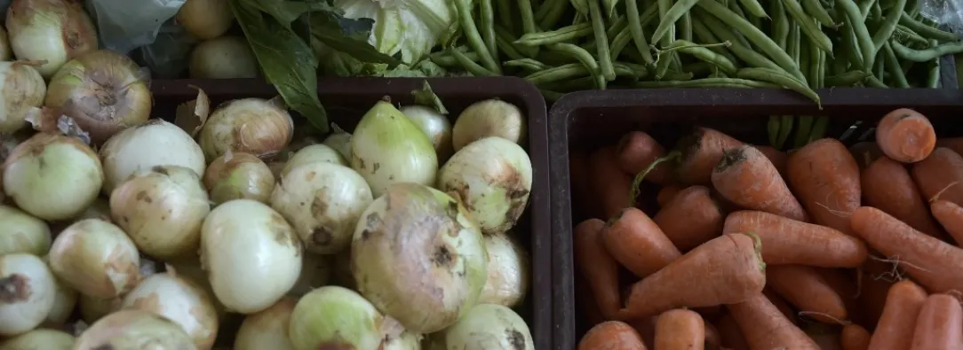 Inflación: IPC 2025 fue de 5,10% impulsado por arriendo y servicios.