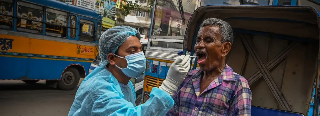 Virus Nipah: alerta en el sudeste asiático pero en el mundo el riesgo es menor
